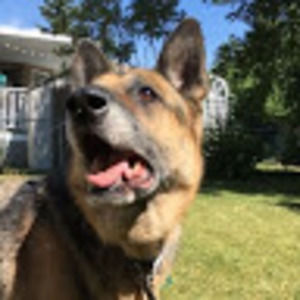 Meet your Posher, Serena